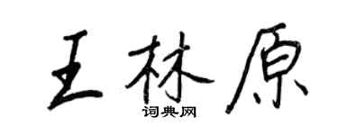 王正良王林原行書個性簽名怎么寫