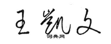 駱恆光王凱文草書個性簽名怎么寫