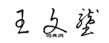 駱恆光王文壟草書個性簽名怎么寫