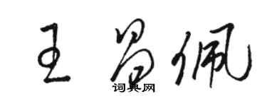 駱恆光王昌佩草書個性簽名怎么寫