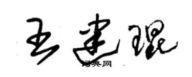 朱錫榮王建琨草書個性簽名怎么寫