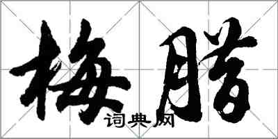 胡問遂梅臘行書怎么寫