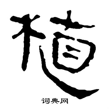 馬王堆帛書寫的植