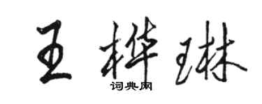 駱恆光王樺琳行書個性簽名怎么寫