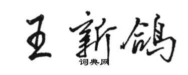 駱恆光王新鴿行書個性簽名怎么寫