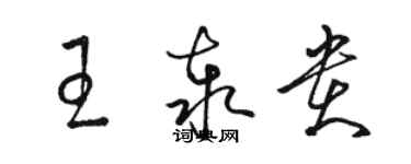 駱恆光王泰貴草書個性簽名怎么寫