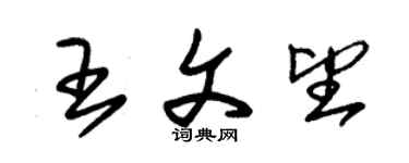 朱錫榮王文望草書個性簽名怎么寫