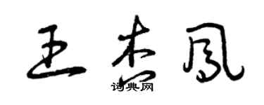 曾慶福王杏鳳草書個性簽名怎么寫