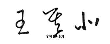 駱恆光王其北草書個性簽名怎么寫