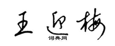 梁錦英王迎梅草書個性簽名怎么寫