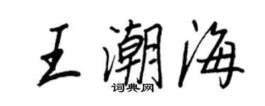 王正良王潮海行書個性簽名怎么寫
