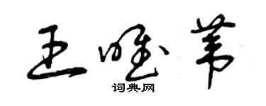 曾慶福王唯葦草書個性簽名怎么寫