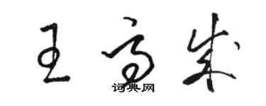 駱恆光王高成草書個性簽名怎么寫