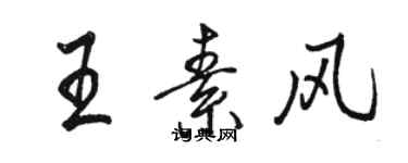 駱恆光王素風行書個性簽名怎么寫