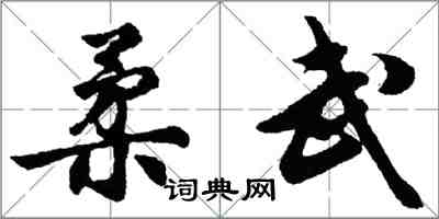 胡問遂柔武行書怎么寫