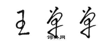 駱恆光王單單草書個性簽名怎么寫