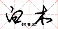 朱錫榮白木草書怎么寫