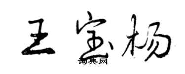 曾慶福王寶楊行書個性簽名怎么寫