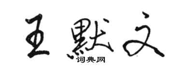 駱恆光王默文行書個性簽名怎么寫