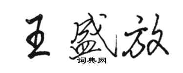 駱恆光王盛放行書個性簽名怎么寫