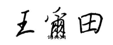 王正良王爾田行書個性簽名怎么寫