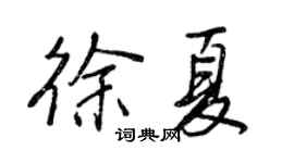 王正良徐夏行書個性簽名怎么寫