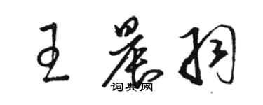 駱恆光王晨羽草書個性簽名怎么寫