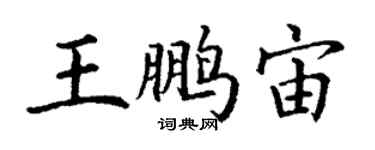 丁謙王鵬宙楷書個性簽名怎么寫
