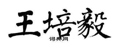 翁闓運王培毅楷書個性簽名怎么寫