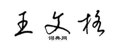 梁錦英王文格草書個性簽名怎么寫