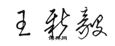 駱恆光王新毅草書個性簽名怎么寫