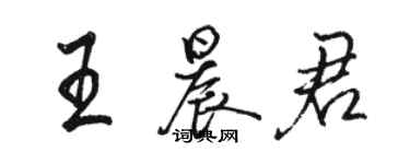 駱恆光王晨君行書個性簽名怎么寫