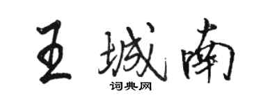 駱恆光王城南行書個性簽名怎么寫