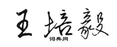 駱恆光王培毅行書個性簽名怎么寫