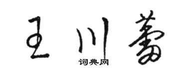 駱恆光王川蕾草書個性簽名怎么寫