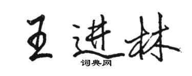 駱恆光王進林行書個性簽名怎么寫