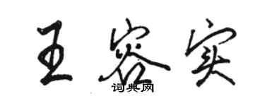 駱恆光王容實行書個性簽名怎么寫