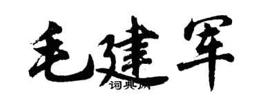 胡問遂毛建軍行書個性簽名怎么寫
