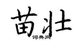丁謙苗壯楷書個性簽名怎么寫