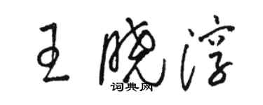 駱恆光王曉淳草書個性簽名怎么寫