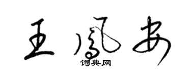 梁錦英王鳳安草書個性簽名怎么寫