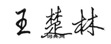 駱恆光王楚林行書個性簽名怎么寫