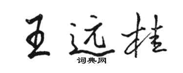 駱恆光王遠桂行書個性簽名怎么寫