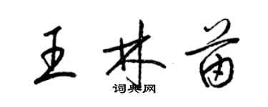 梁錦英王林苗草書個性簽名怎么寫