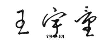 駱恆光王宇量草書個性簽名怎么寫