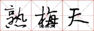 段相林熟梅天行書怎么寫