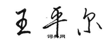 駱恆光王平爾行書個性簽名怎么寫