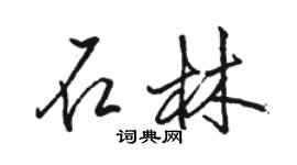 駱恆光石林行書個性簽名怎么寫