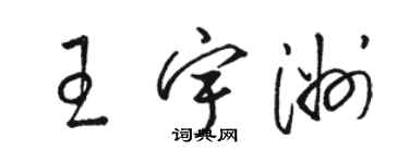 駱恆光王宇洲草書個性簽名怎么寫