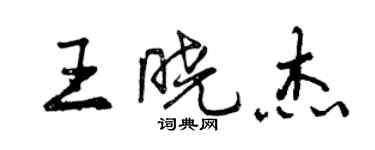 曾慶福王曉傑行書個性簽名怎么寫